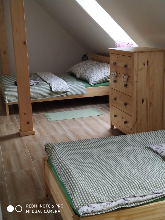 Ubytovani Ve Stodole Stráž nad Nežárkou エクステリア 写真