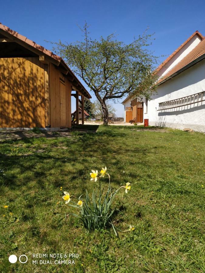 Ubytovani Ve Stodole Stráž nad Nežárkou エクステリア 写真