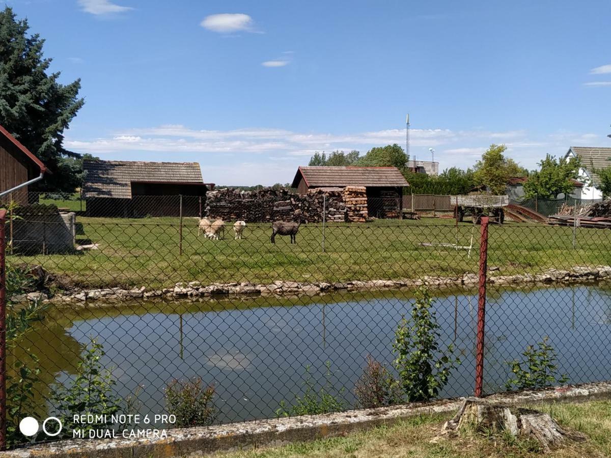 Ubytovani Ve Stodole Stráž nad Nežárkou エクステリア 写真