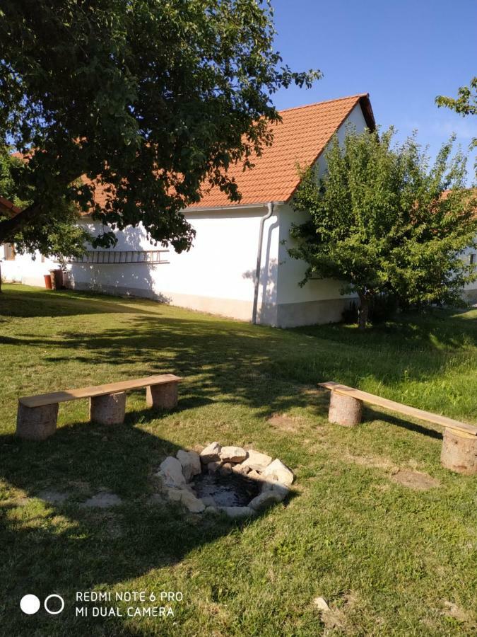 Ubytovani Ve Stodole Stráž nad Nežárkou エクステリア 写真